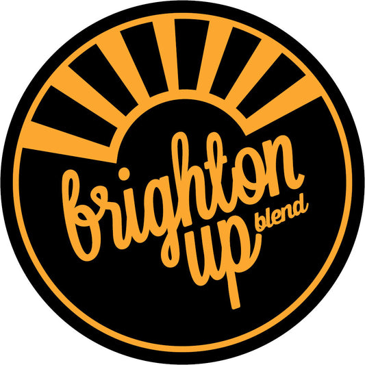 Brighton Up - Taster Pack